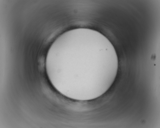 X0000110710024200907022034