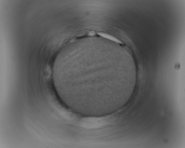 X0000110710025200907022033