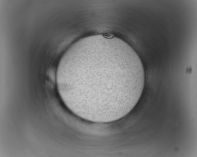 X0000110710028200907022033