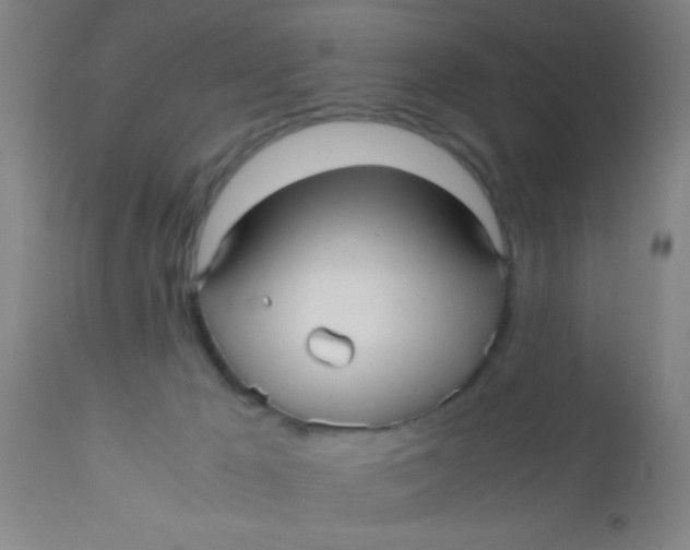 X0000110710029200907022033