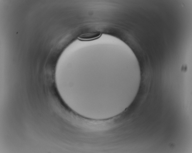 X0000110710031200907022033