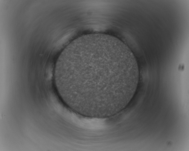 X0000110710032200907022033