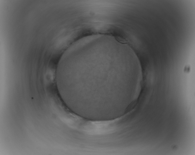 X0000110710033200907022033