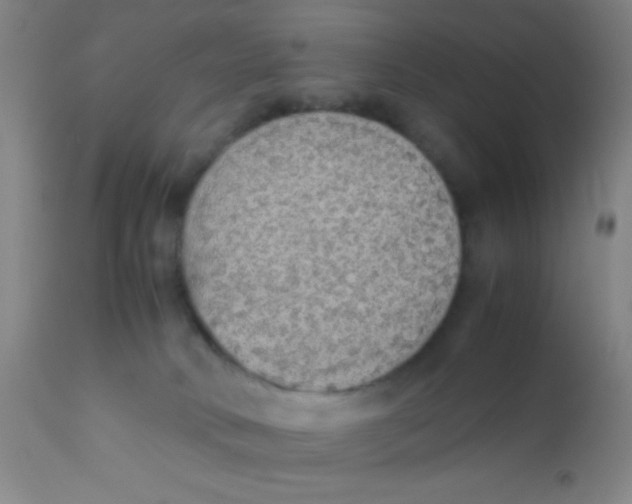 X0000110710034200907022033