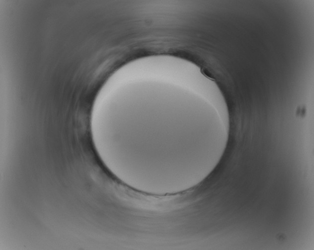 X0000110710035200907022033