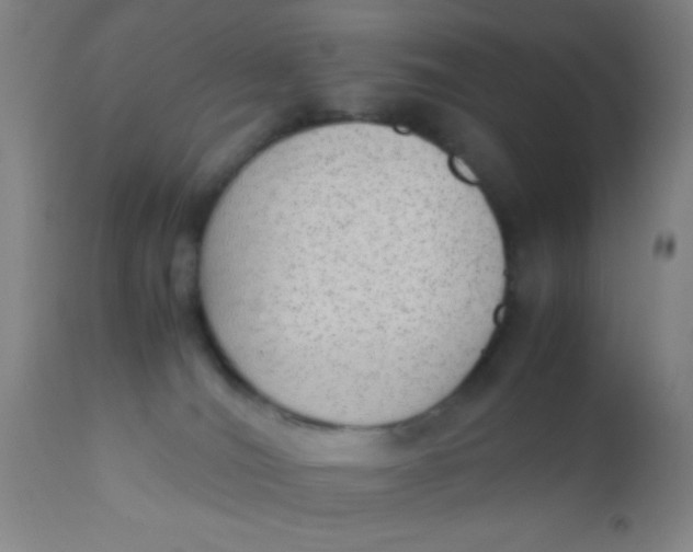 X0000110710036200907022033