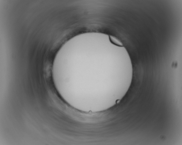 X0000110710038200907022033