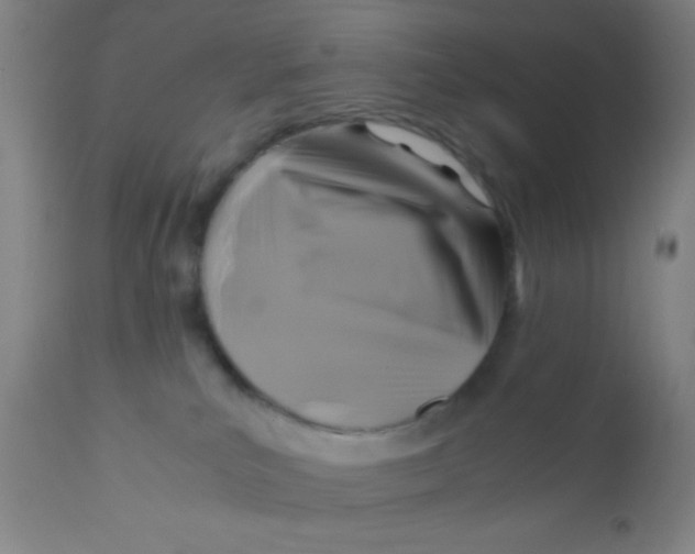 X0000110710039200907022033