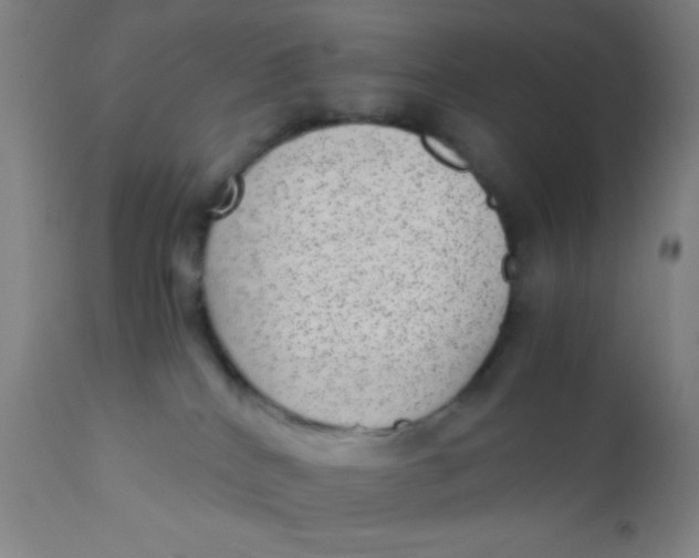 X0000110710040200907022033