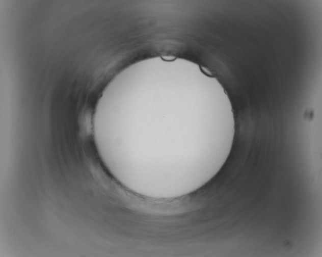 X0000110710042200907022033