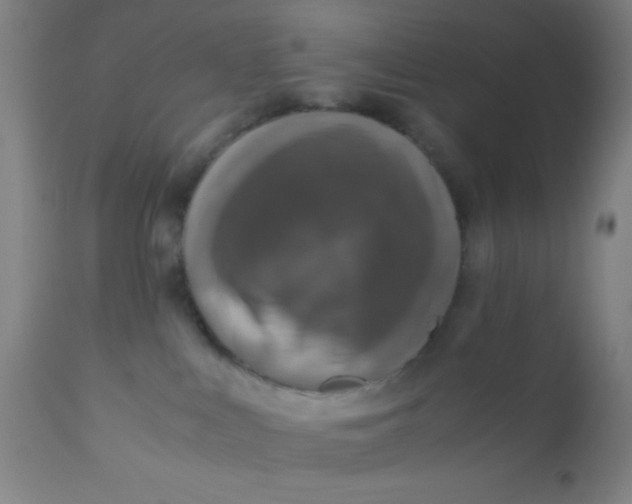 X0000110710043200907022033