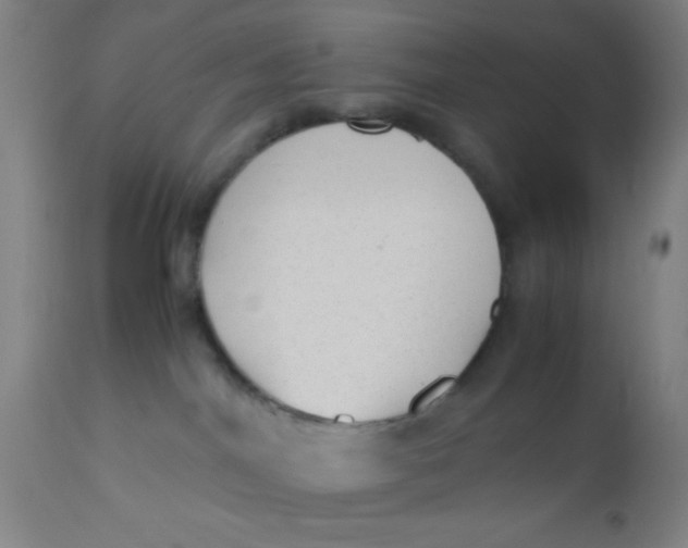 X0000110710044200907022033