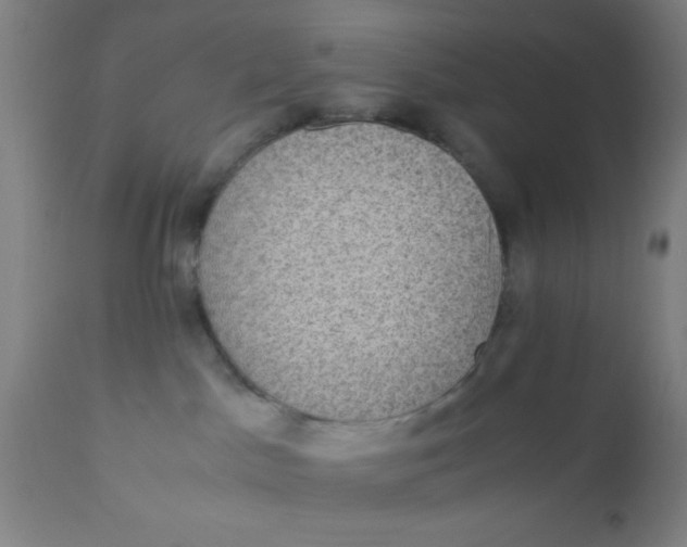 X0000110710045200907022033