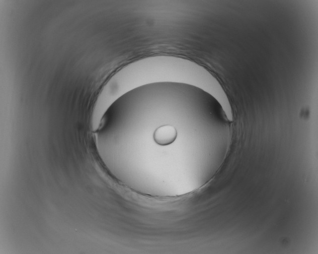 X0000110710047200907022033