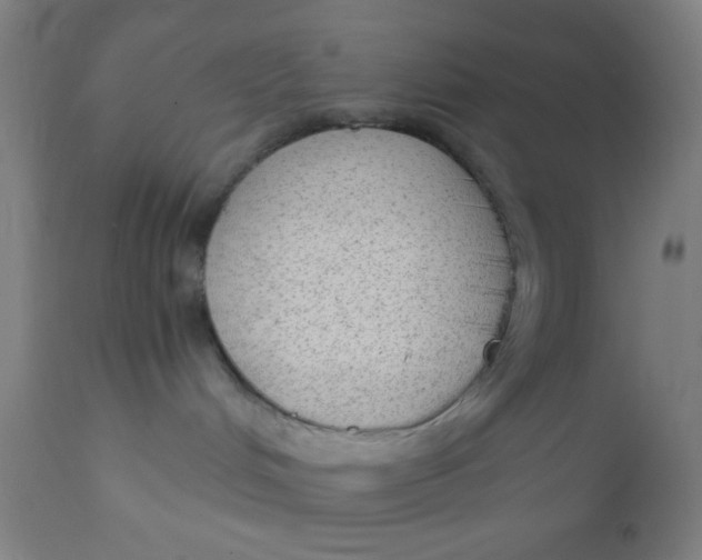 X0000110710048200907022033