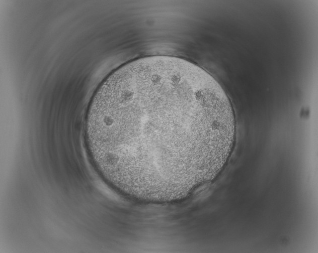 X0000110710049200907022032