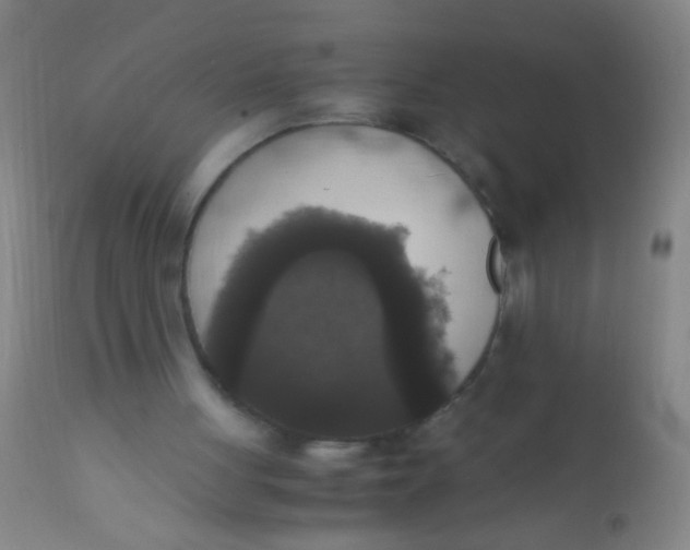 X0000110710051200907022032