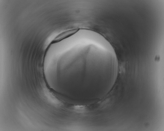 X0000110710052200907022032