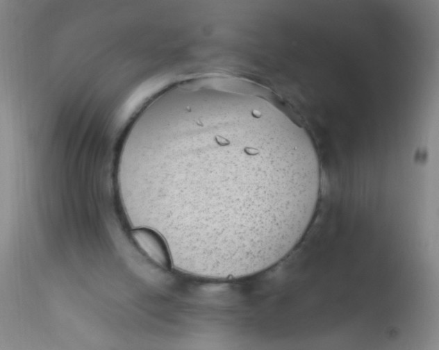 X0000110710054200907022032