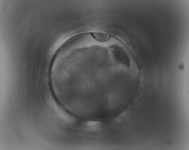 X0000110710055200907022032