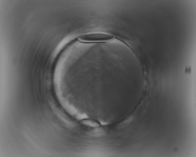 X0000110710056200907022032