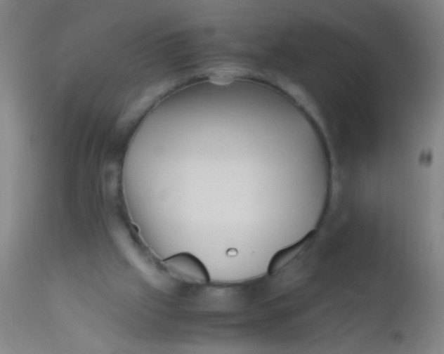 X0000110710057200907022032