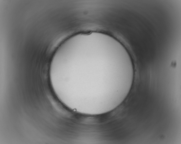 X0000110710058200907022032