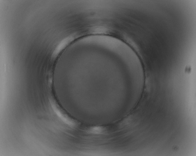 X0000110710059200907022032