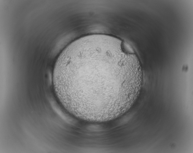 X0000110710061200907022032