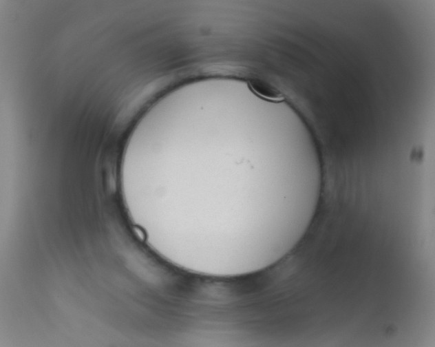 X0000110710062200907022032