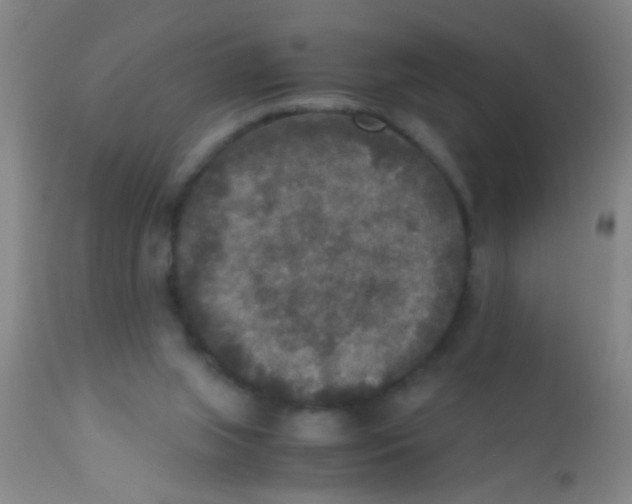 X0000110710063200907022032