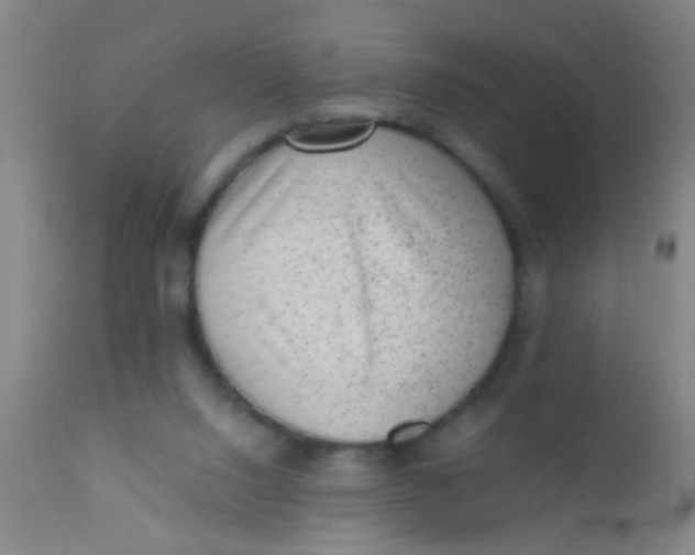 X0000110710064200907022032