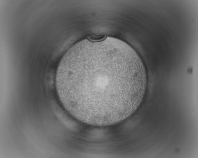 X0000110710065200907022032