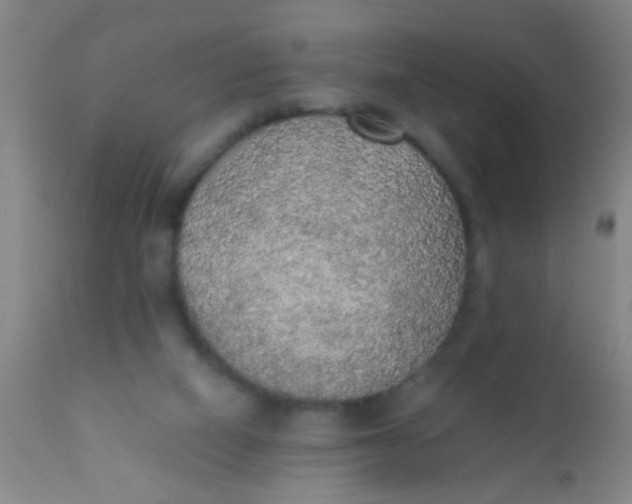 X0000110710066200907022032