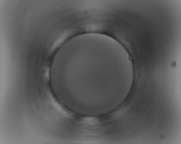 X0000110710067200907022032