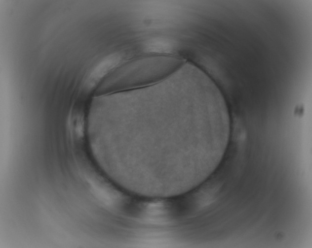 X0000110710068200907022032