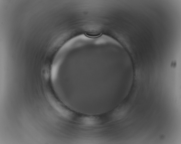 X0000110710069200907022032