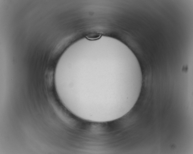 X0000110710070200907022032