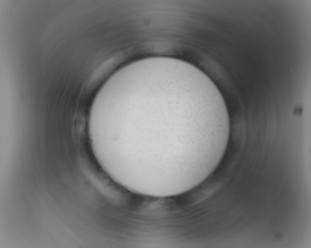 X0000110710072200907022033