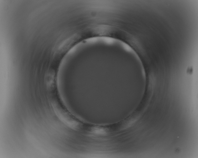 X0000110710073200907022033