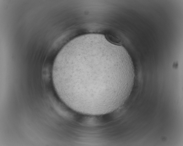 X0000110710074200907022033