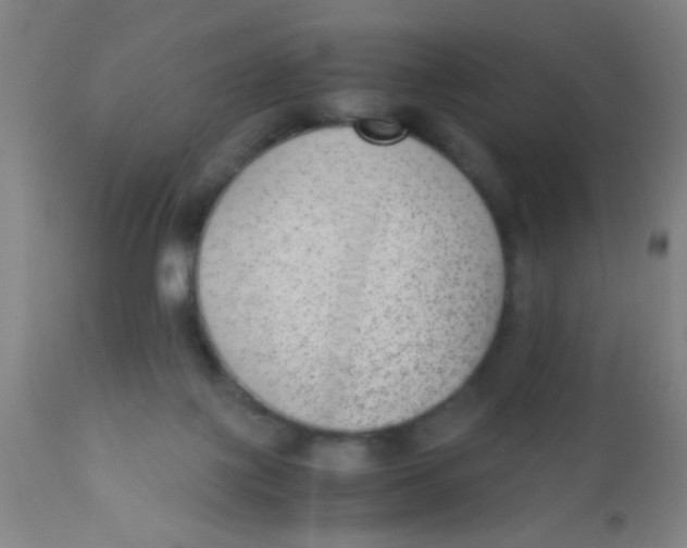 X0000110710075200907022033