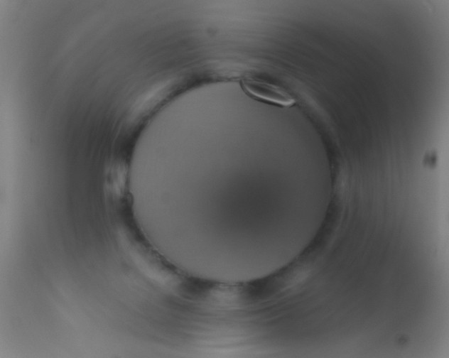 X0000110710076200907022033