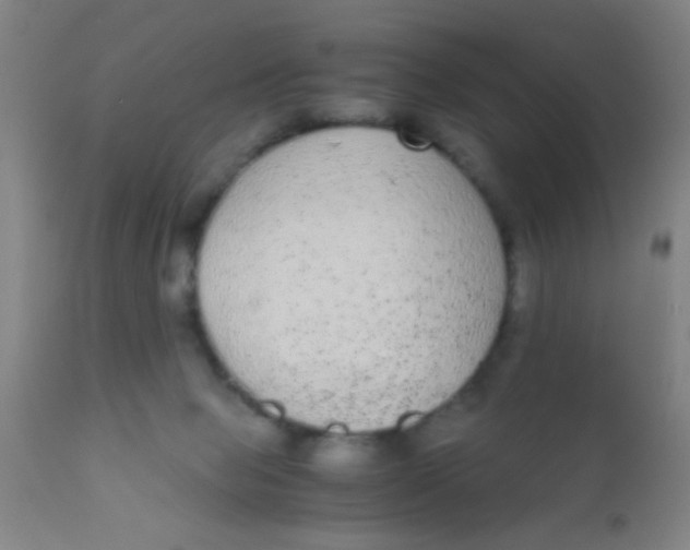 X0000110710077200907022033