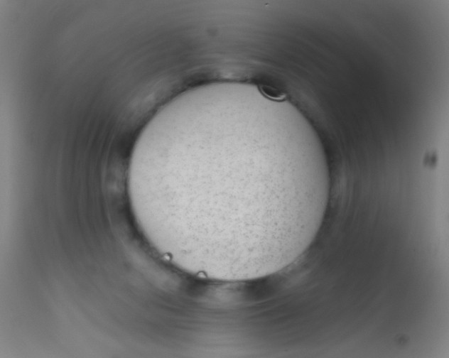 X0000110710078200907022033