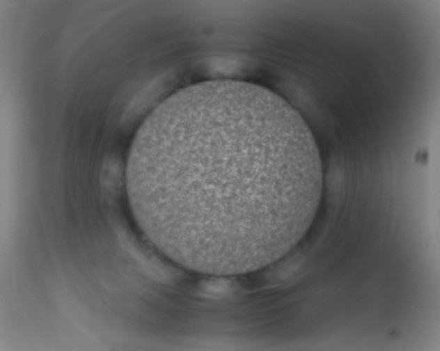 X0000110710079200907022033