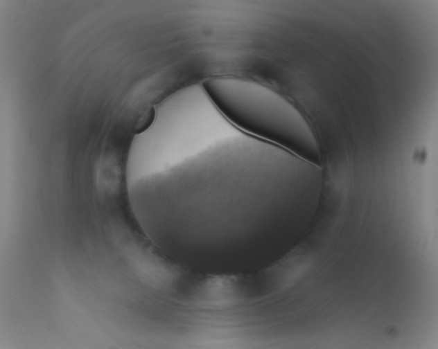 X0000110710080200907022033