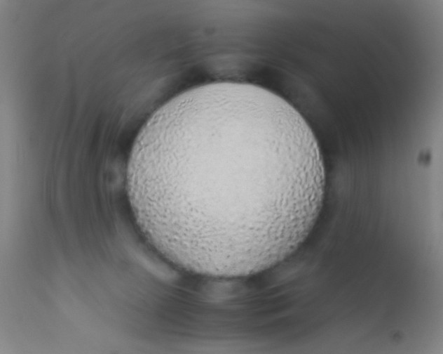 X0000110710081200907022033