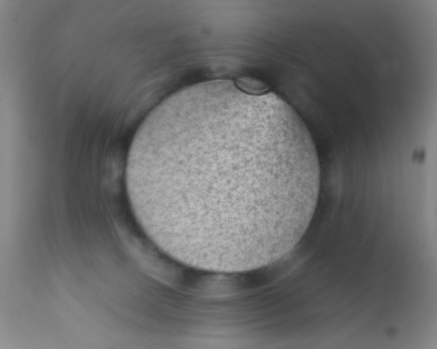 X0000110710082200907022033