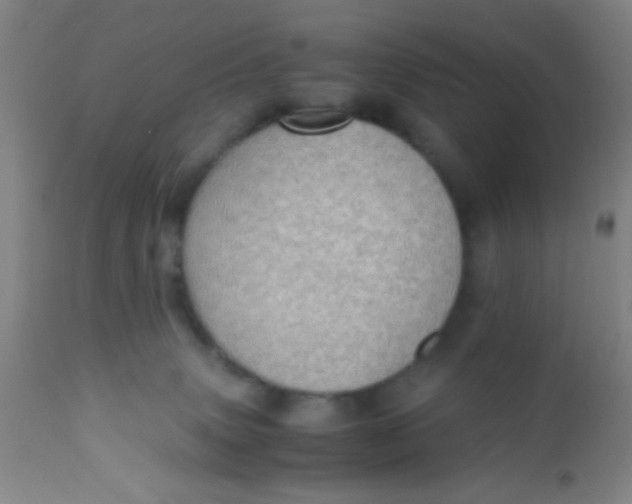 X0000110710083200907022033